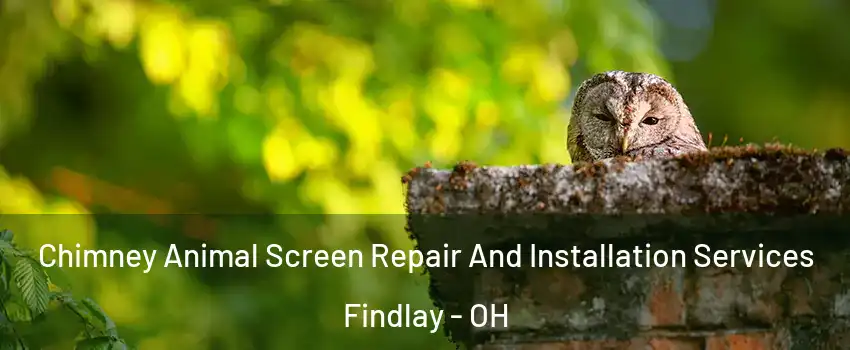  Chimney Animal Screen Repair And Installation Services Findlay - OH