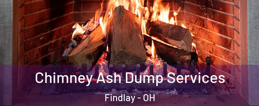  Chimney Ash Dump Services Findlay - OH