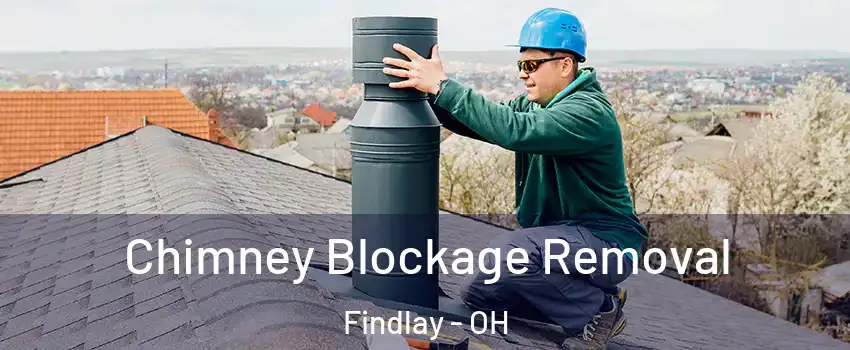  Chimney Blockage Removal Findlay - OH
