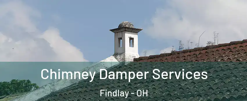  Chimney Damper Services Findlay - OH