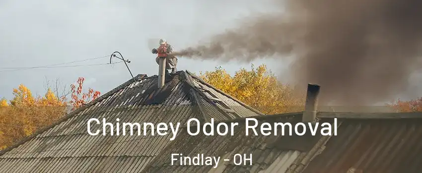  Chimney Odor Removal Findlay - OH