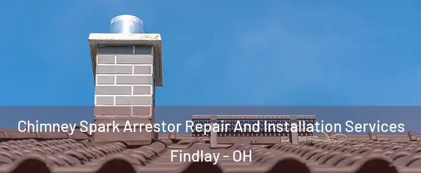  Chimney Spark Arrestor Repair And Installation Services Findlay - OH