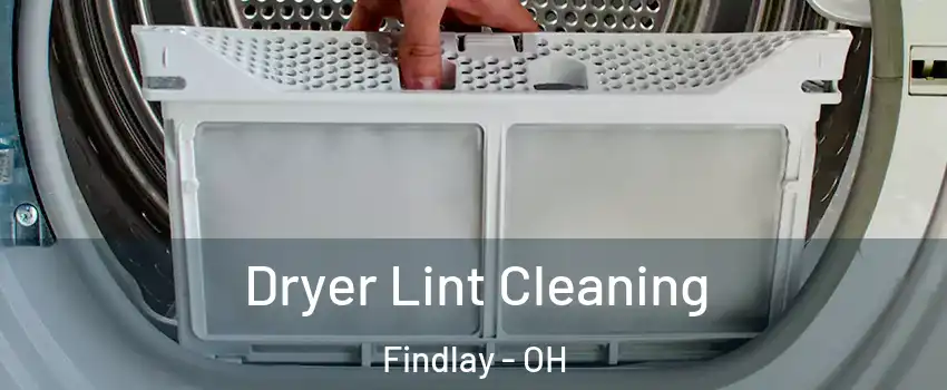  Dryer Lint Cleaning Findlay - OH