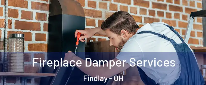  Fireplace Damper Services Findlay - OH