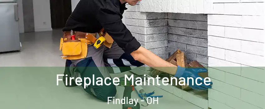  Fireplace Maintenance Findlay - OH