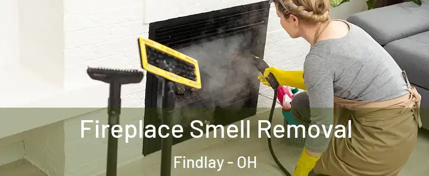  Fireplace Smell Removal Findlay - OH