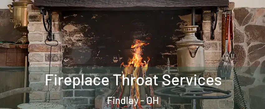  Fireplace Throat Services Findlay - OH