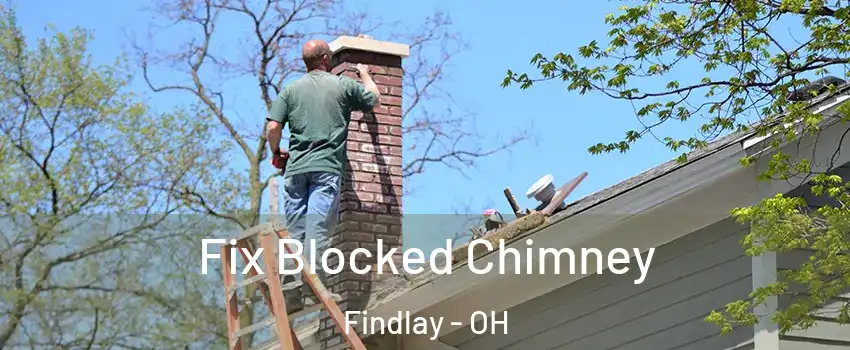  Fix Blocked Chimney Findlay - OH