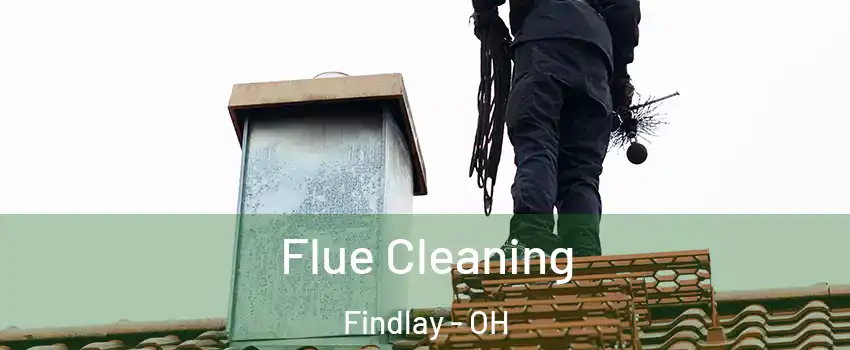  Flue Cleaning Findlay - OH