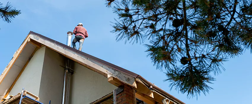 Birds Removal Contractors from Chimney in Findlay, OH