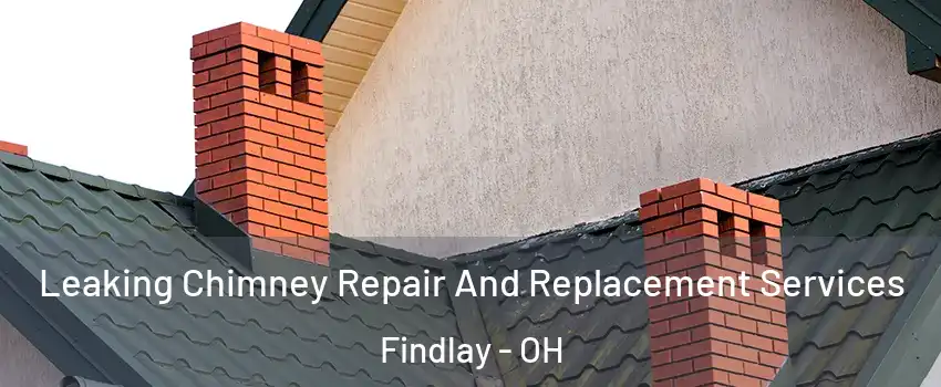  Leaking Chimney Repair And Replacement Services Findlay - OH