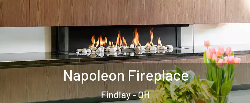  Napoleon Fireplace Findlay - OH