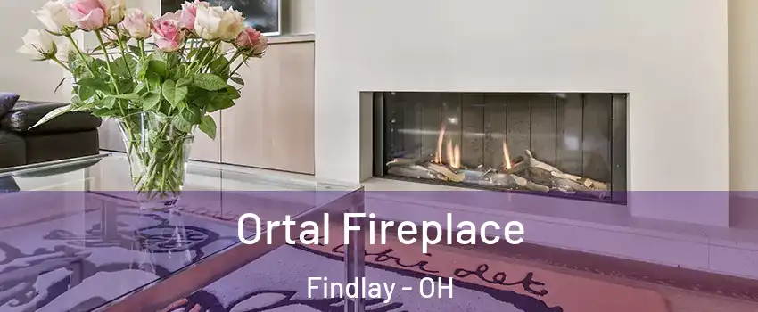  Ortal Fireplace Findlay - OH